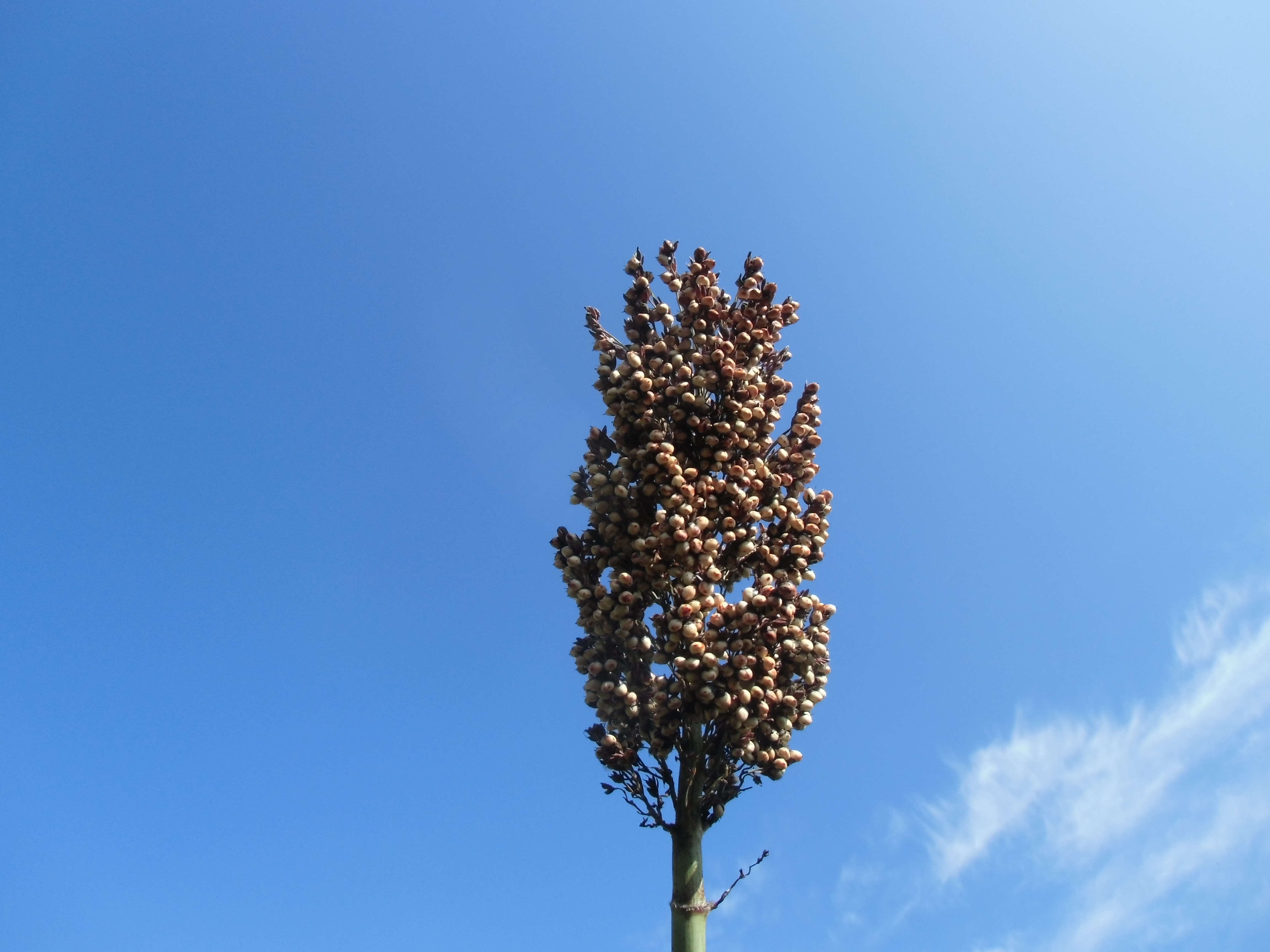 数据库中未找到相应图片