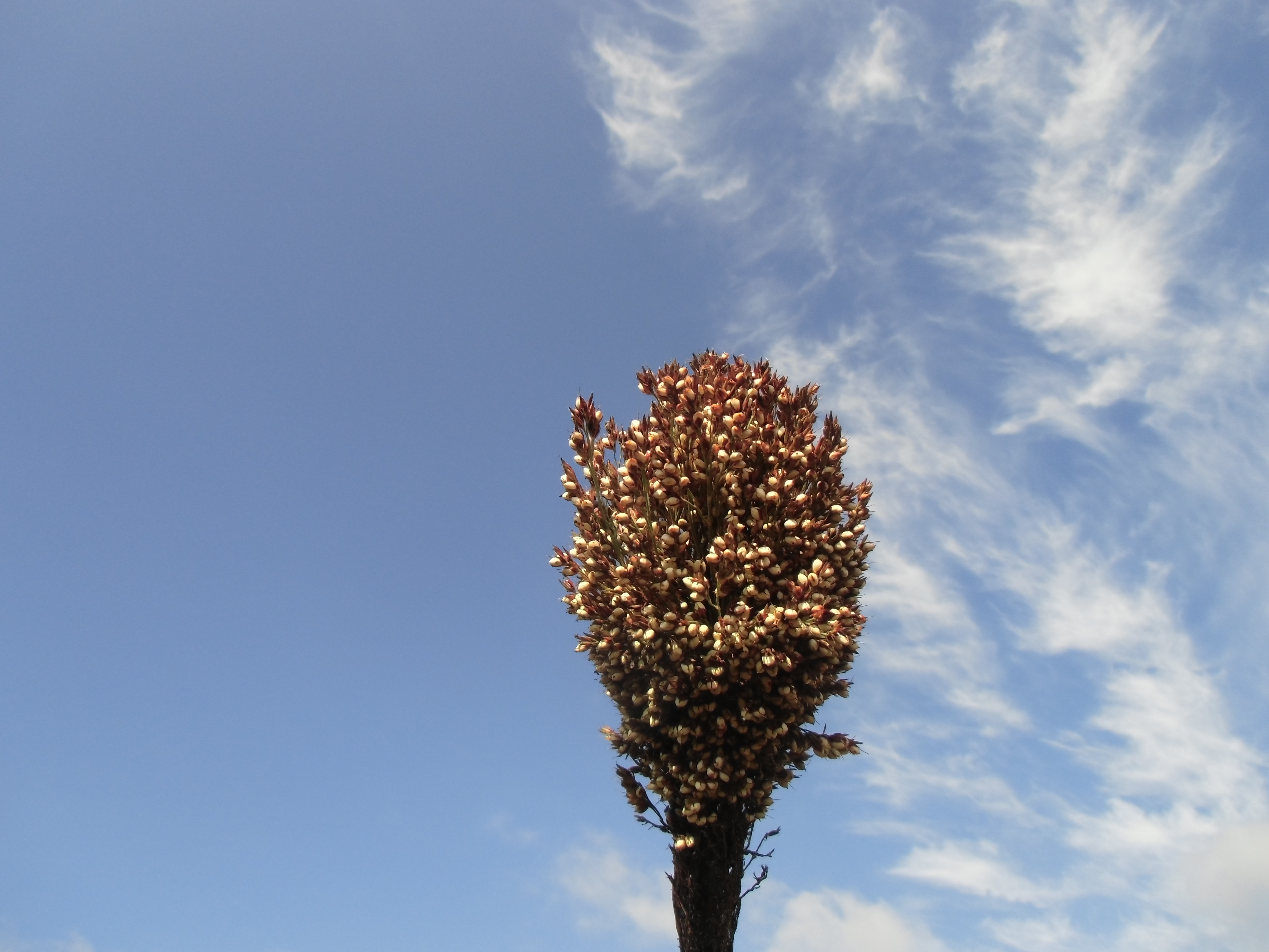 数据库中未找到相应图片
