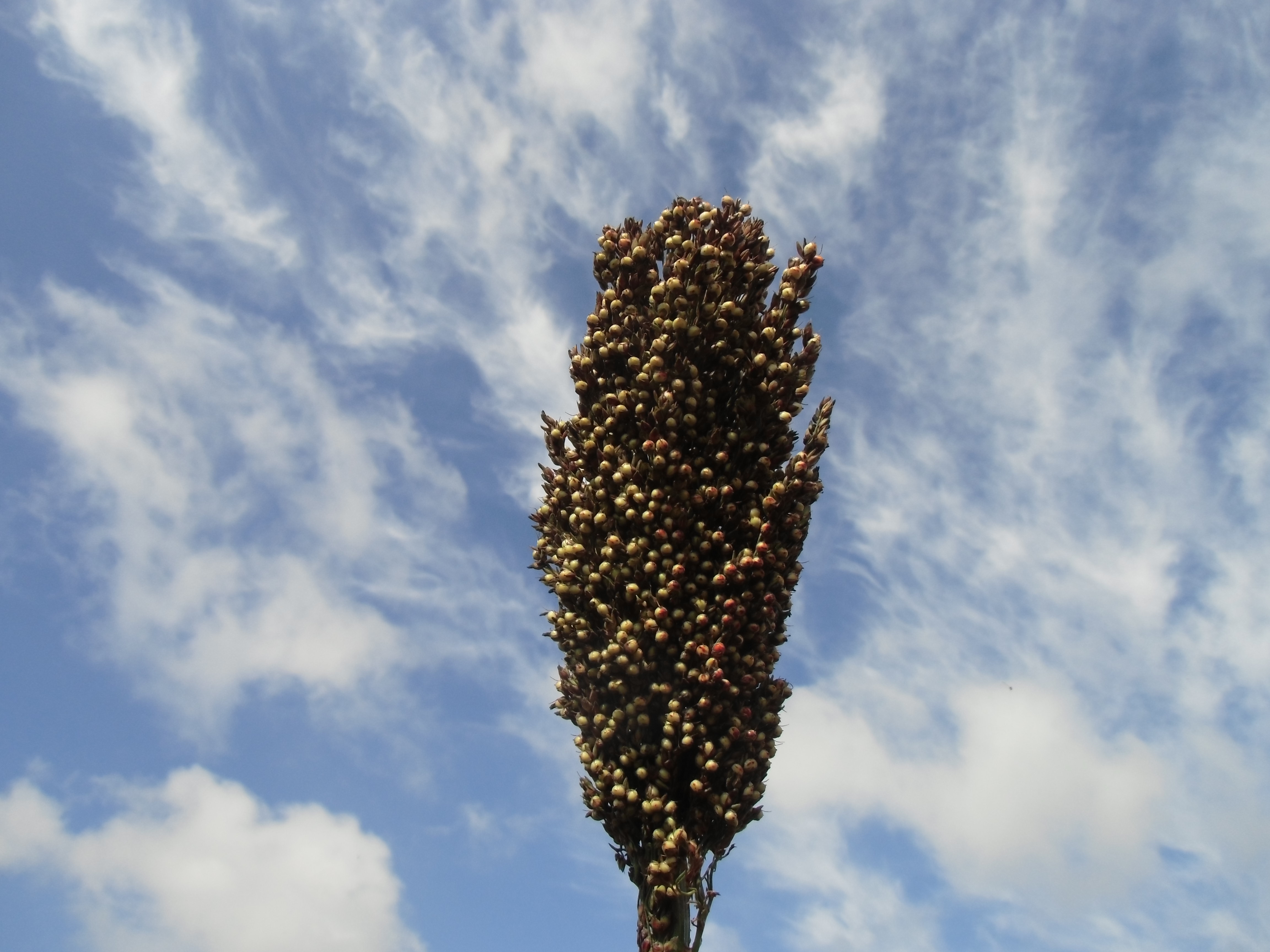 数据库中未找到相应图片