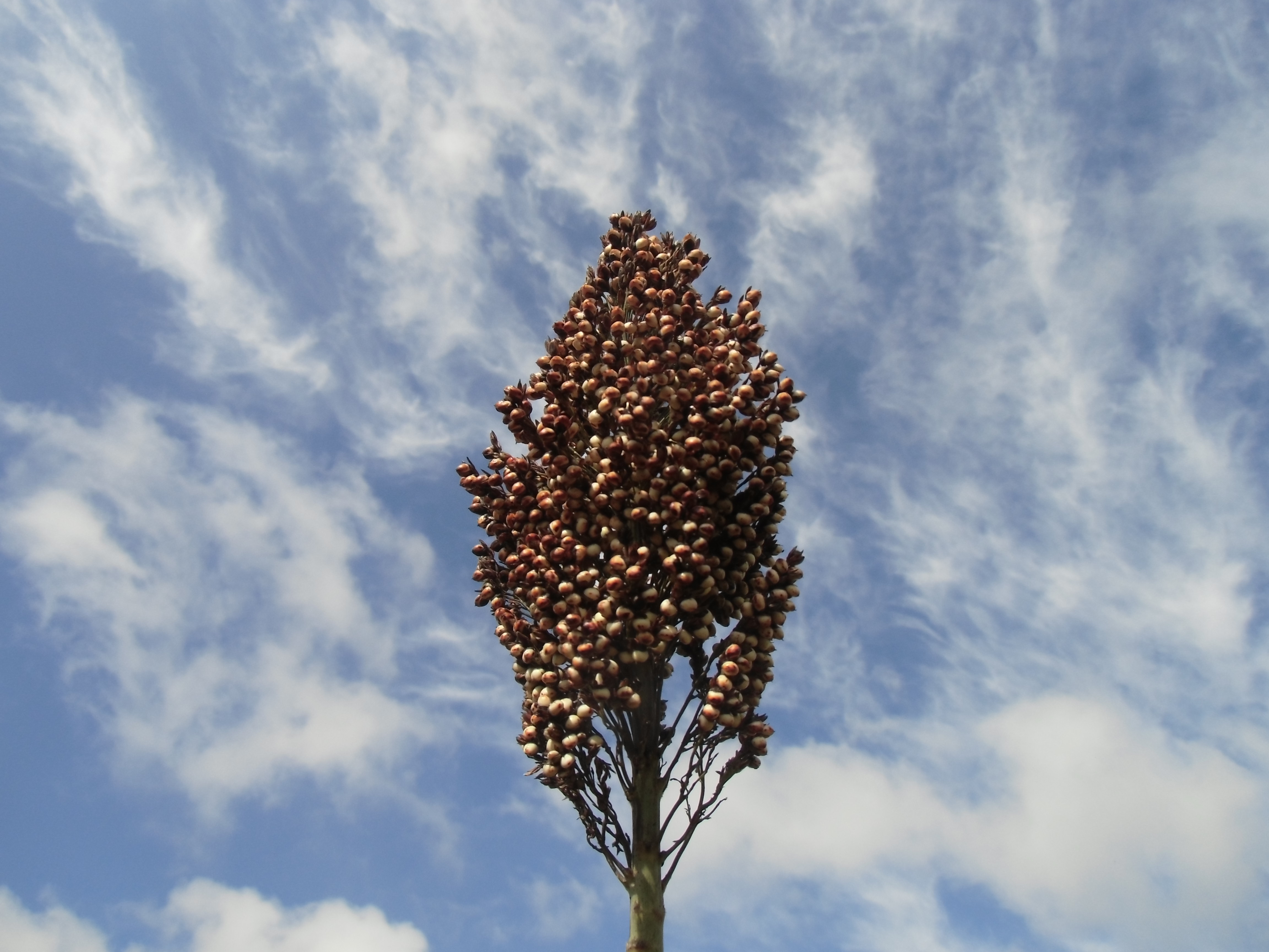 数据库中未找到相应图片