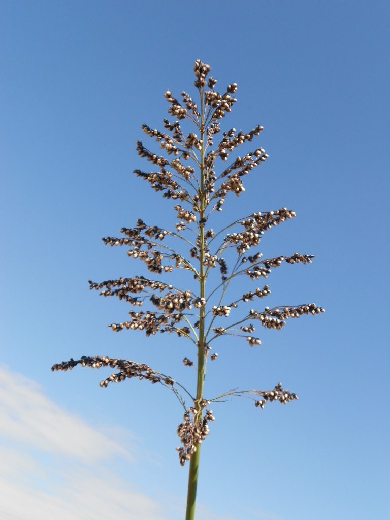 数据库中未找到相应图片