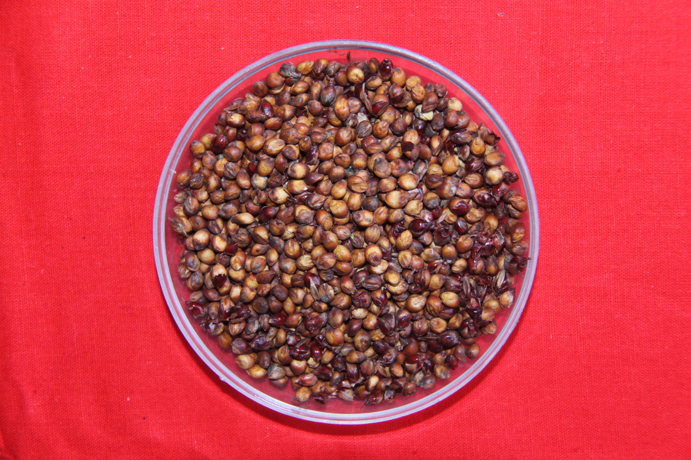 数据库中未找到相应图片