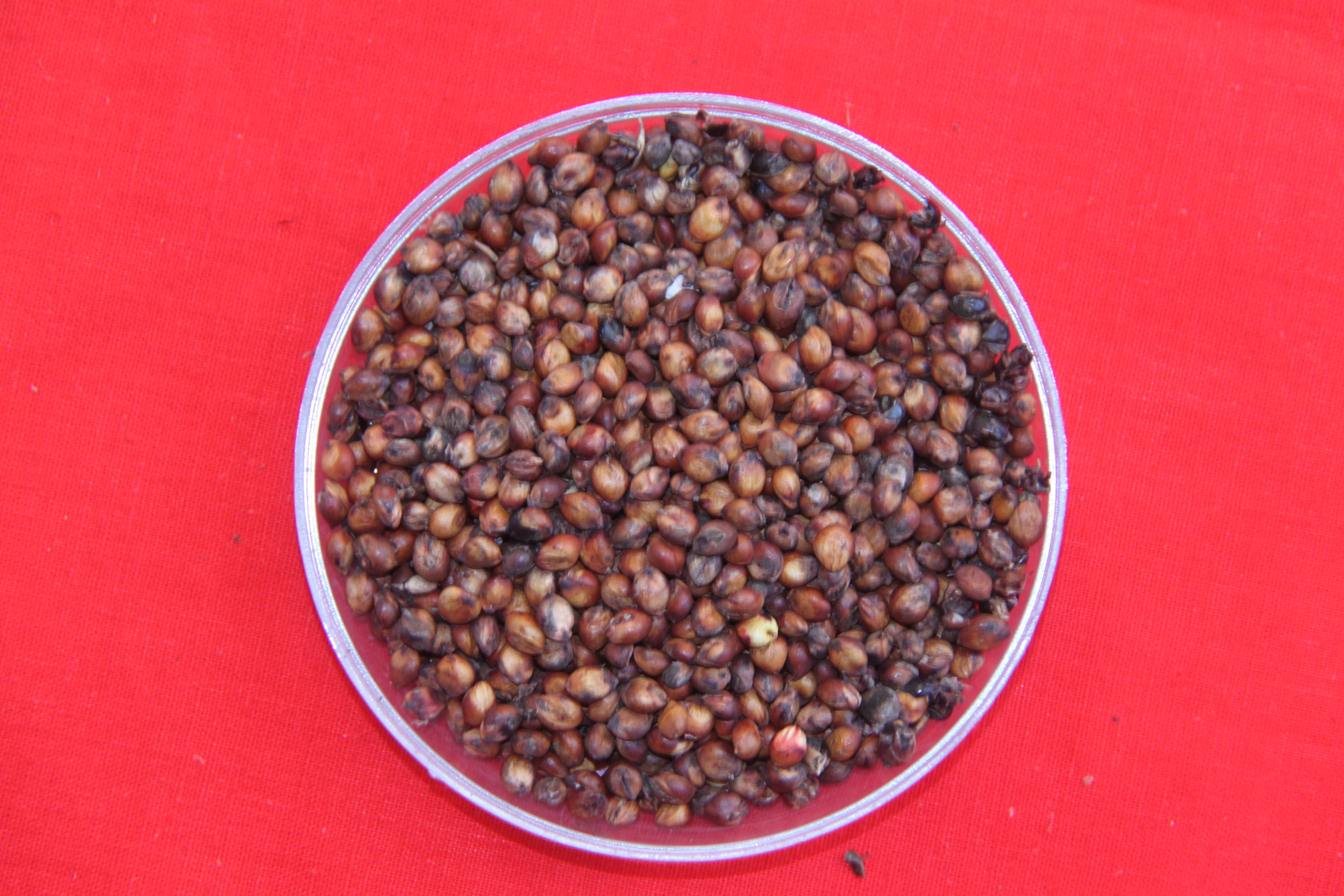 数据库中未找到相应图片