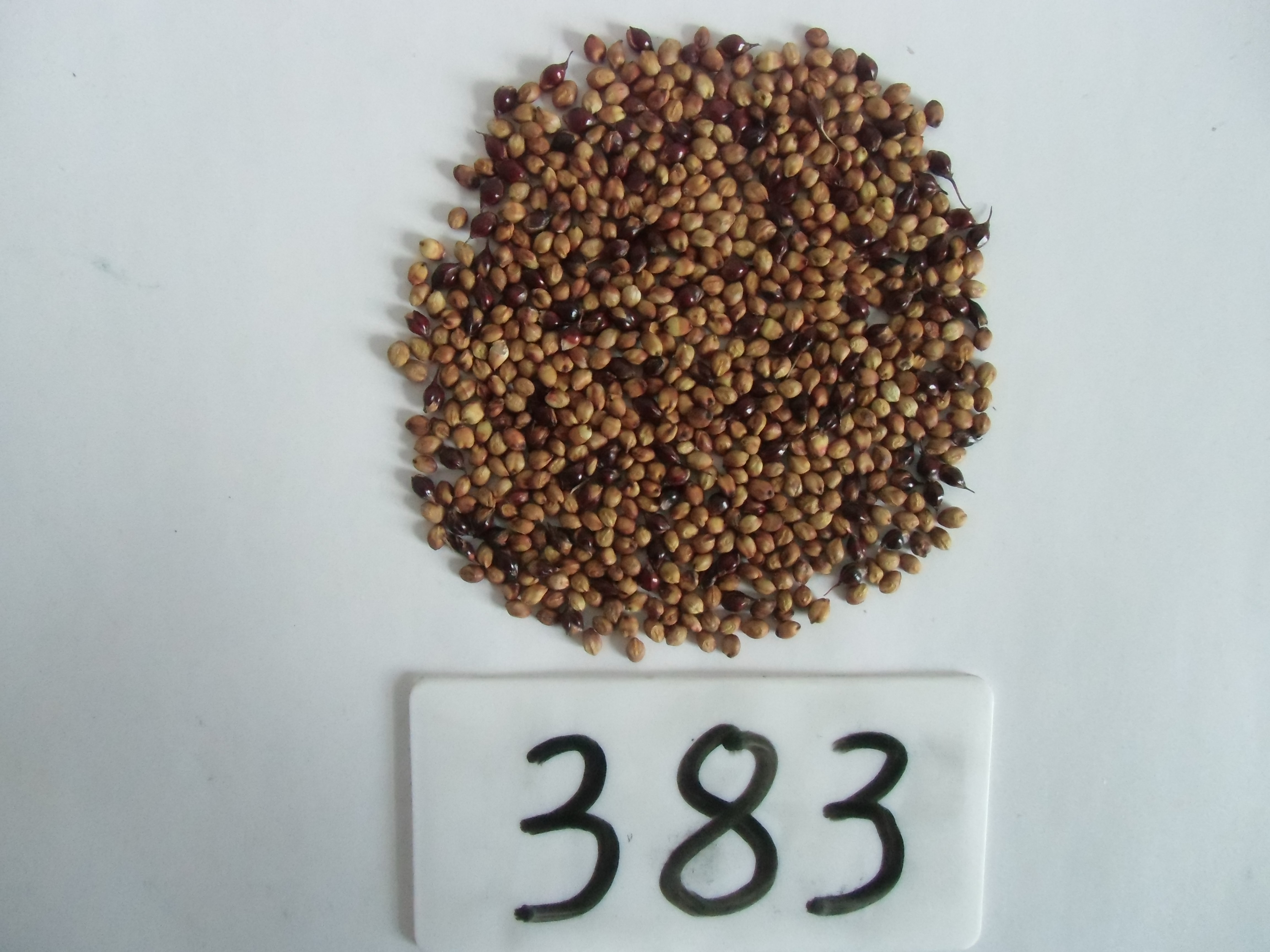 数据库中未找到相应图片