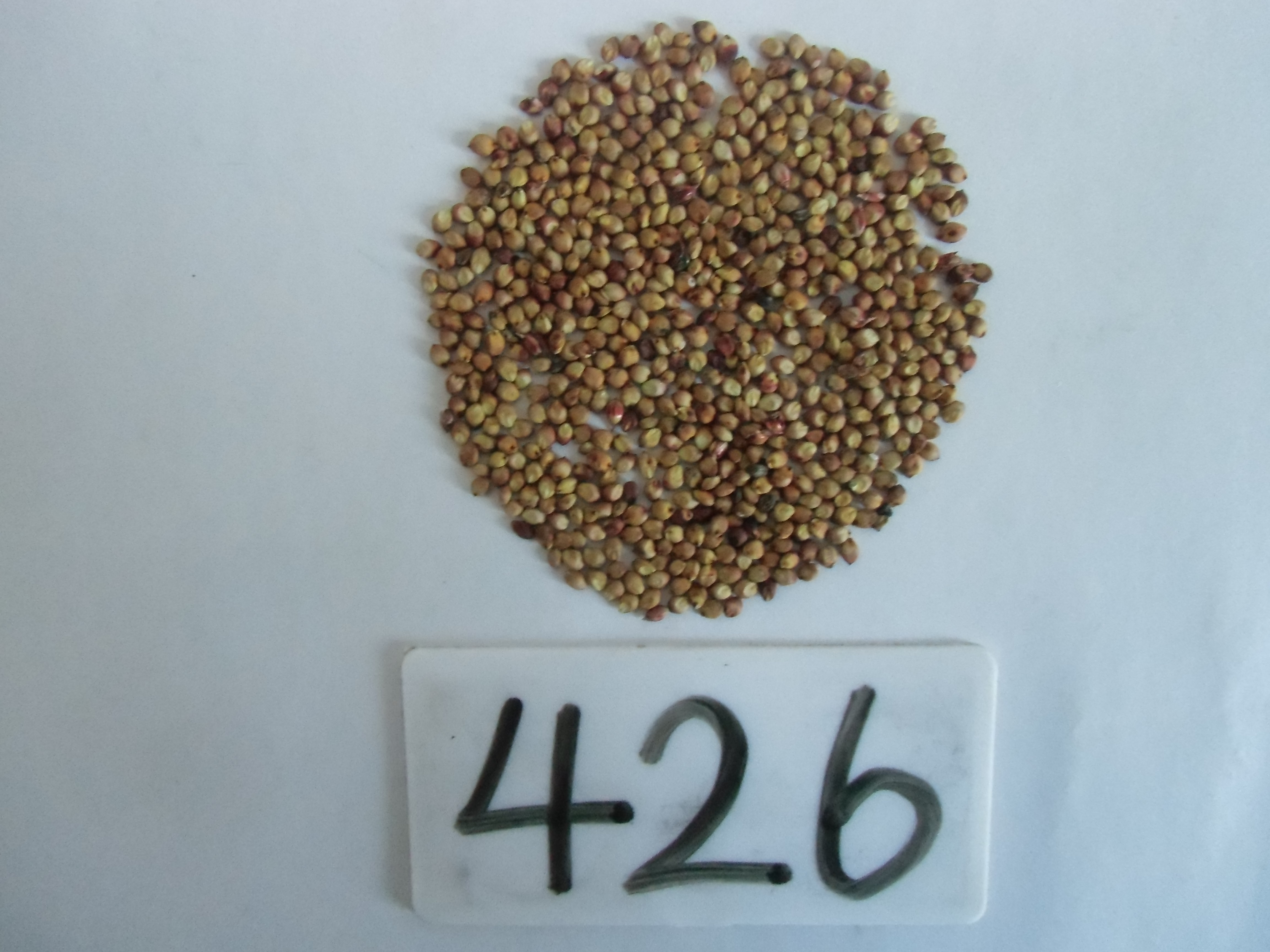 数据库中未找到相应图片