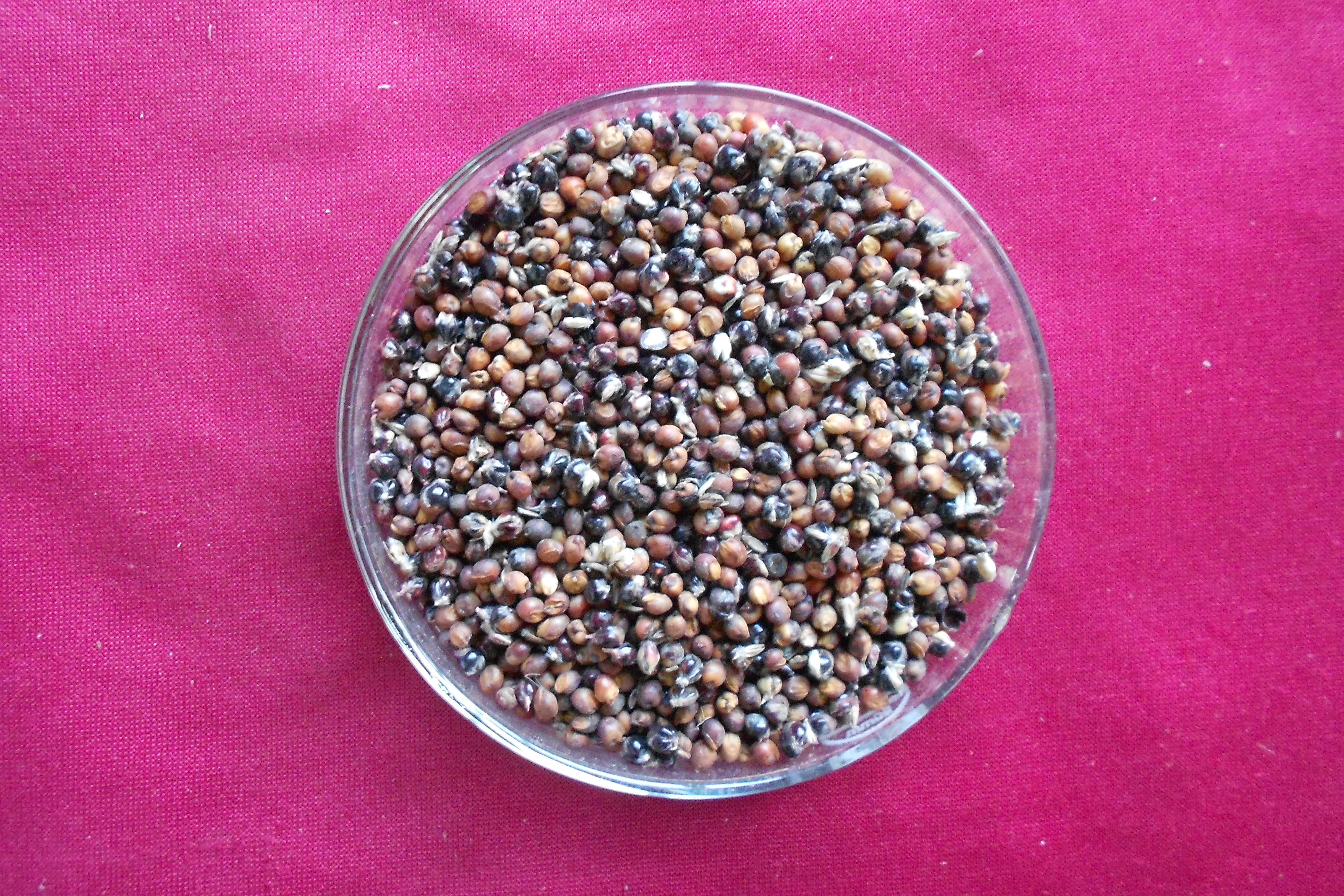 数据库中未找到相应图片