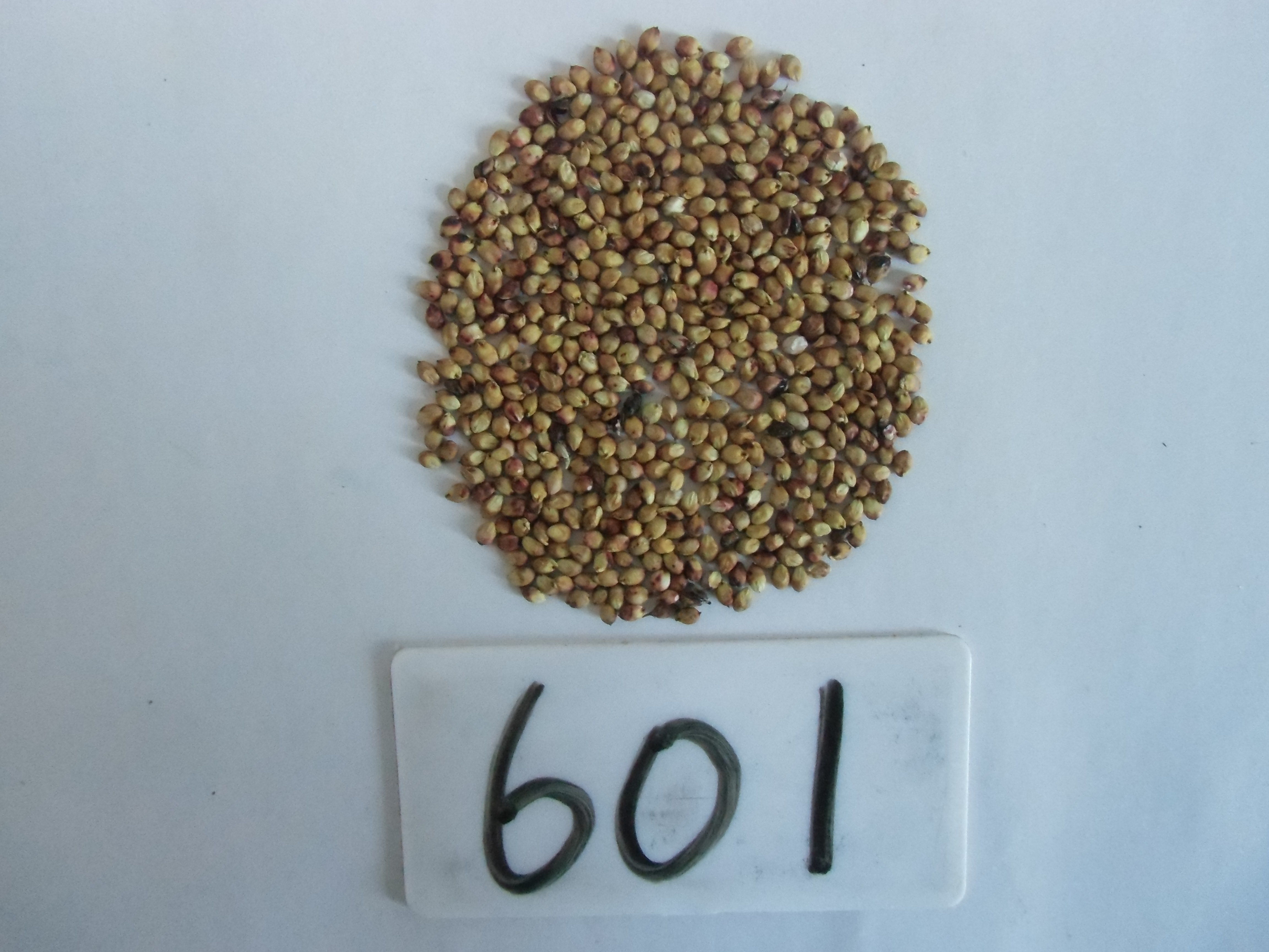 数据库中未找到相应图片