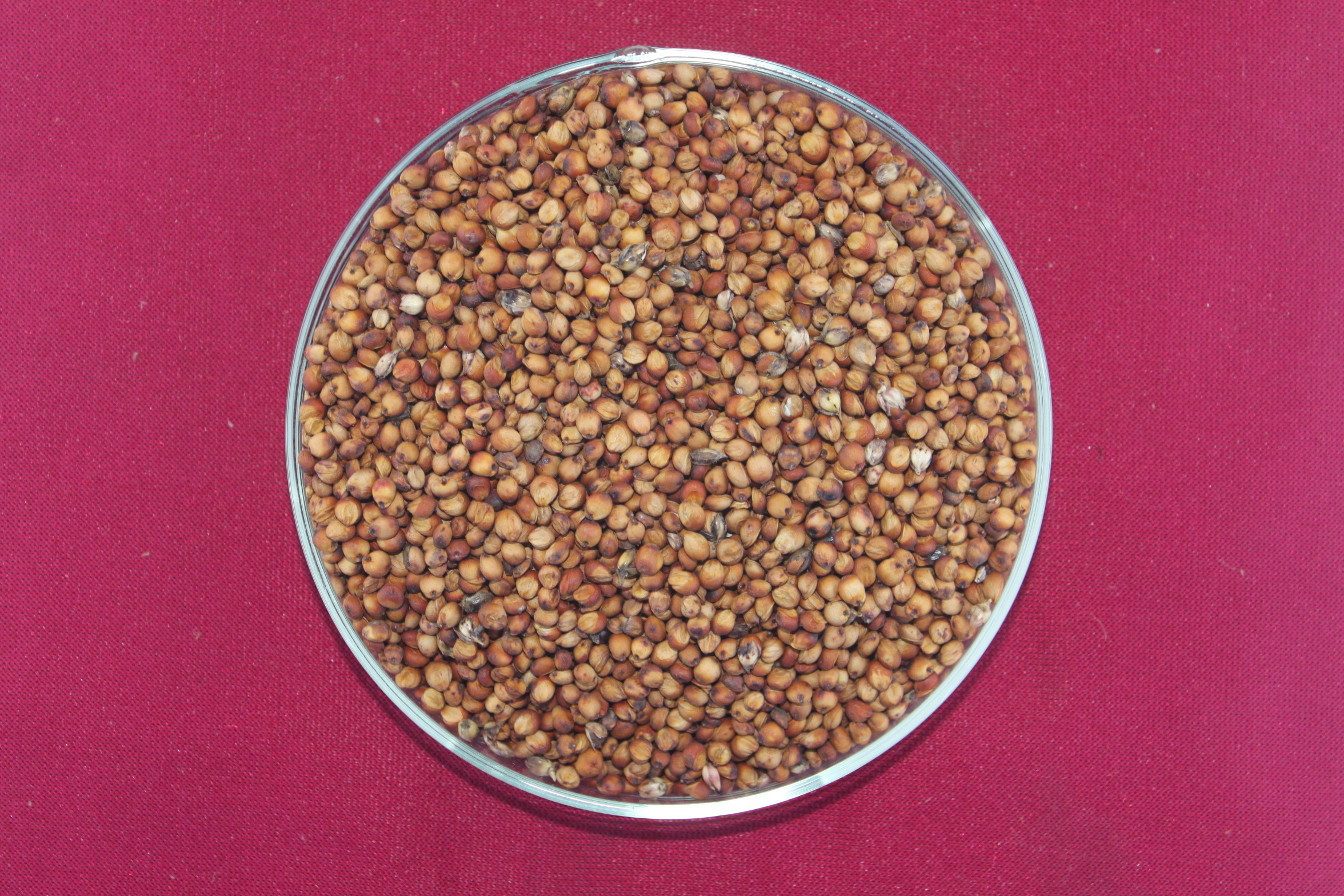 数据库中未找到相应图片